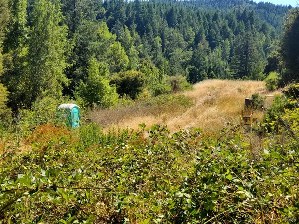 $425,000 | 80050 Road 442b Road, Piercy, CA 95587