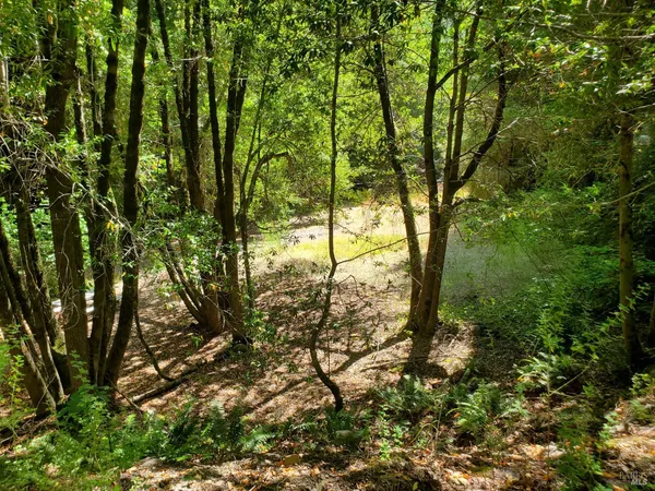 $425,000 | 80050 Road 442b Road, Piercy, CA 95587