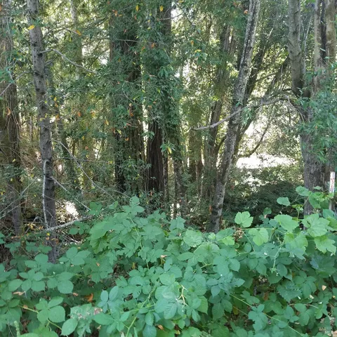 $495,000 | 80050 Road 442b Road, Piercy, CA 95587