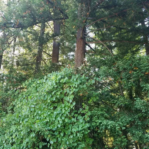 $495,000 | 80050 Road 442b Road, Piercy, CA 95587