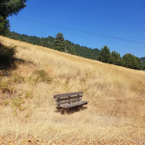 $495,000 | 80050 Road 442b Road, Piercy, CA 95587