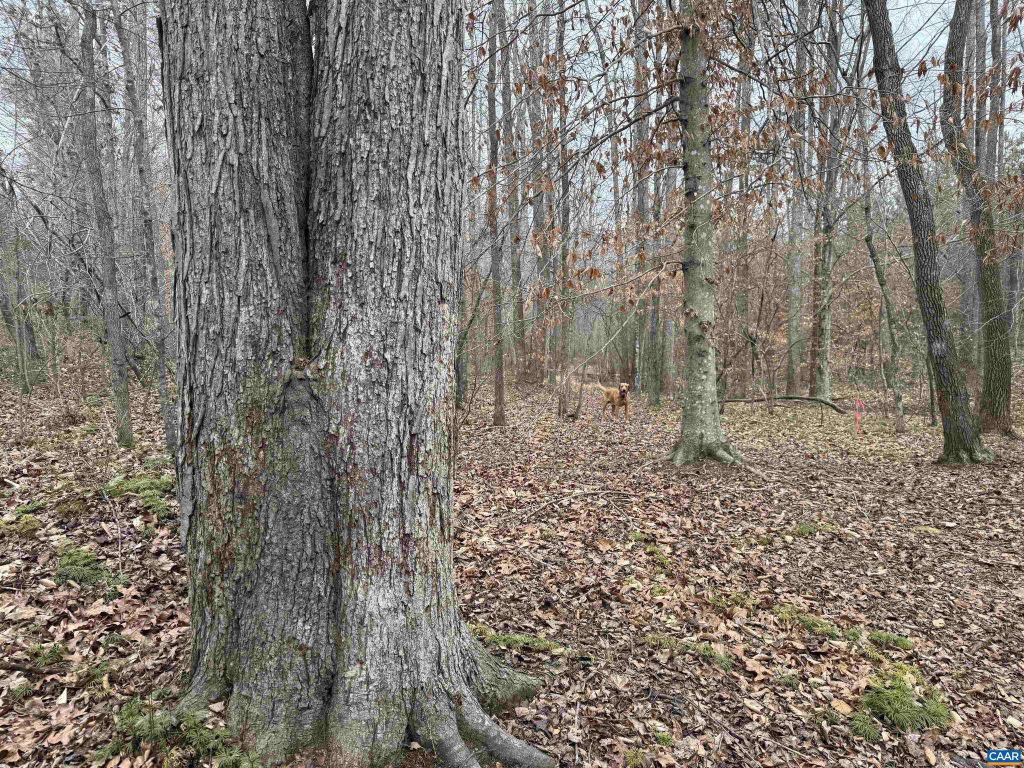1 Hardware Road Arvonia, VA 23004 - Photo 7 of 11
