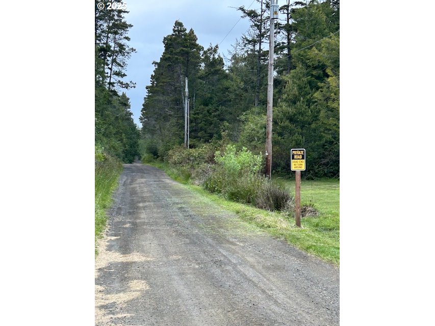 a view of a trees in a yard