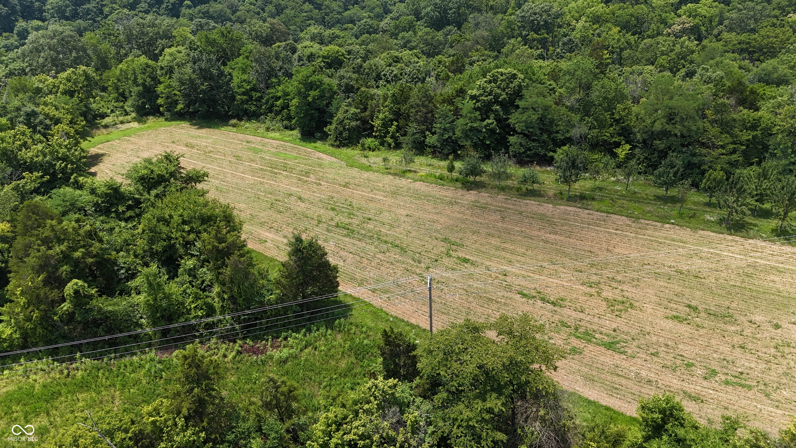12375 Melock Road Vevay, IN 47043 - Photo 41 of 70