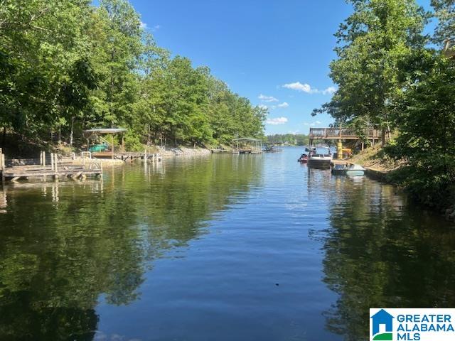 465 Jeans Way Wedowee, AL 36278 - Photo 15 of 16