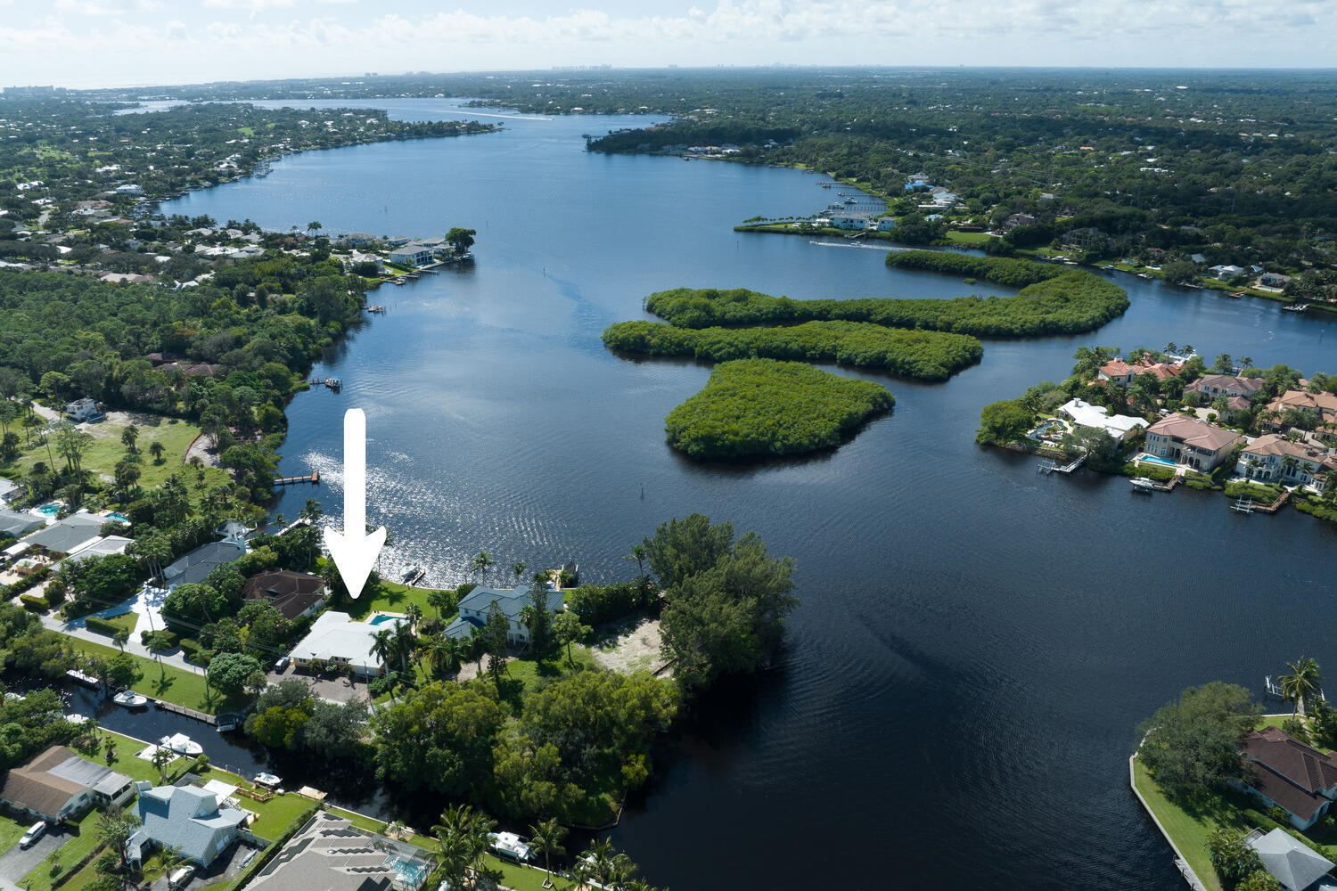 an aerial view of lake and trees