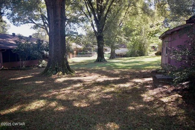 a view of a tree in the middle of a yard
