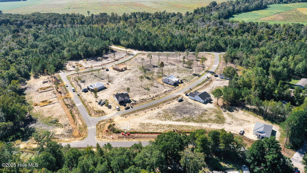 200 East T. Batson Road Burgaw, NC 28425 - Photo 11 of 13 10