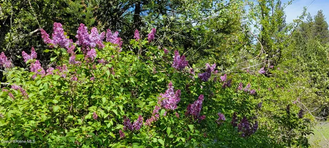 $1,080,000 | 1015 Templeman Lake Road, Bonners Ferry, ID 83805