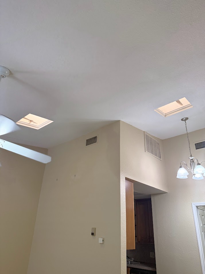 2529 Rio Grande Street, Unit 96 Austin, TX 78705 - Photo 3 of 11 Detailed view of a chandelier and a skylight