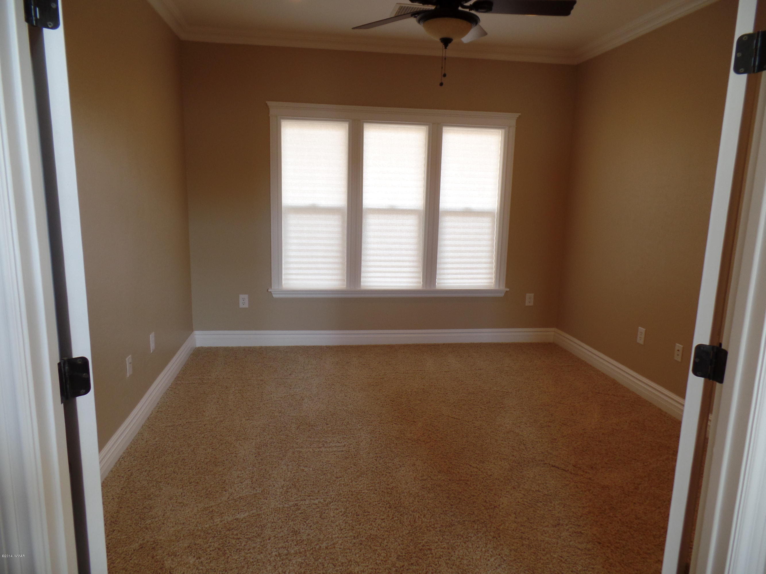 238 Love Lake Road Taylor, AZ 85939 - Photo 11 of 24