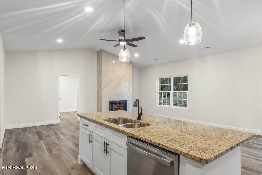1937 River Poppy Road Mascot, TN 37806 - Photo 16 of 26 a kitchen with granite countertop a sink cabinetry a chandelier and living room view