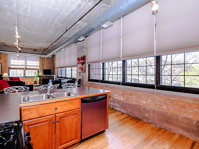 17 North Loomis Street, Unit 2G Chicago, IL 60607 - Photo 4 of 23