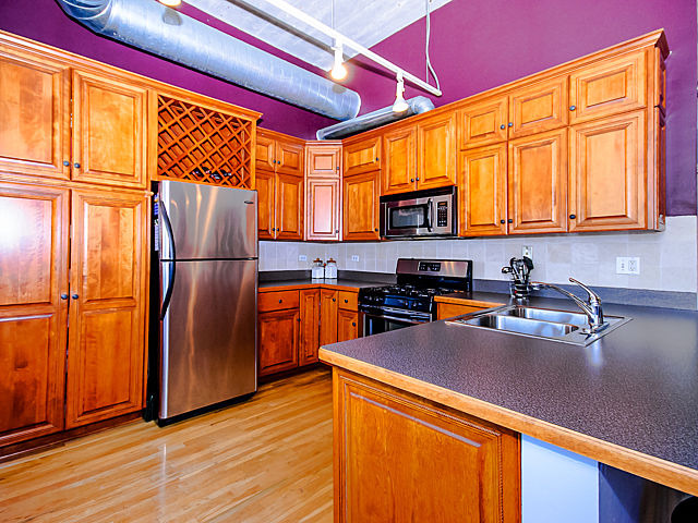17 North Loomis Street, Unit 2G Chicago, IL 60607 - Photo 6 of 23