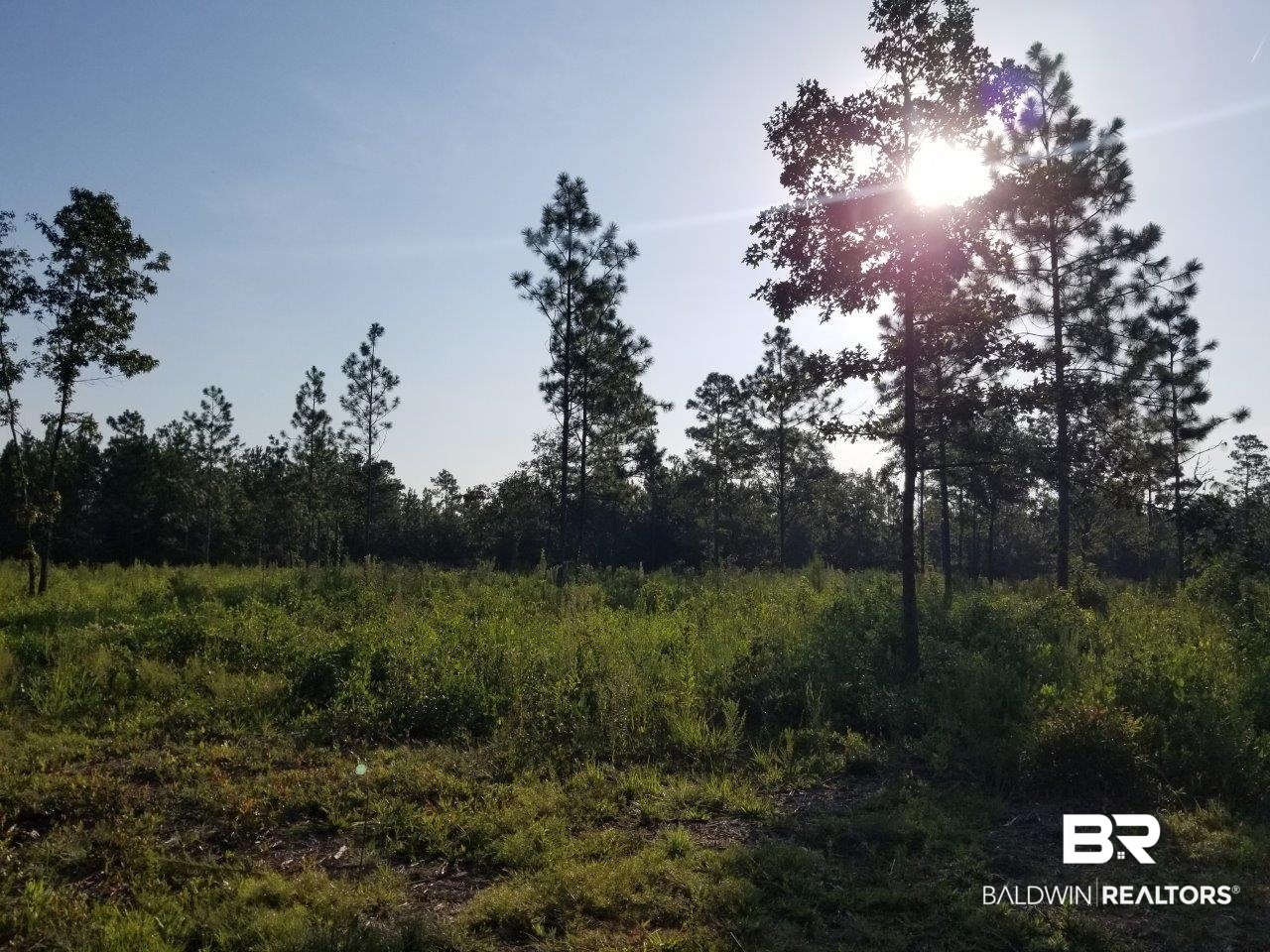 0 Jerkins Loop Atmore, AL 36502 - Photo 34 of 50