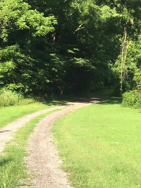 3864 Wickham Road Palmyra, TN 37142 - Photo 3 of 29 Gallery Image 3