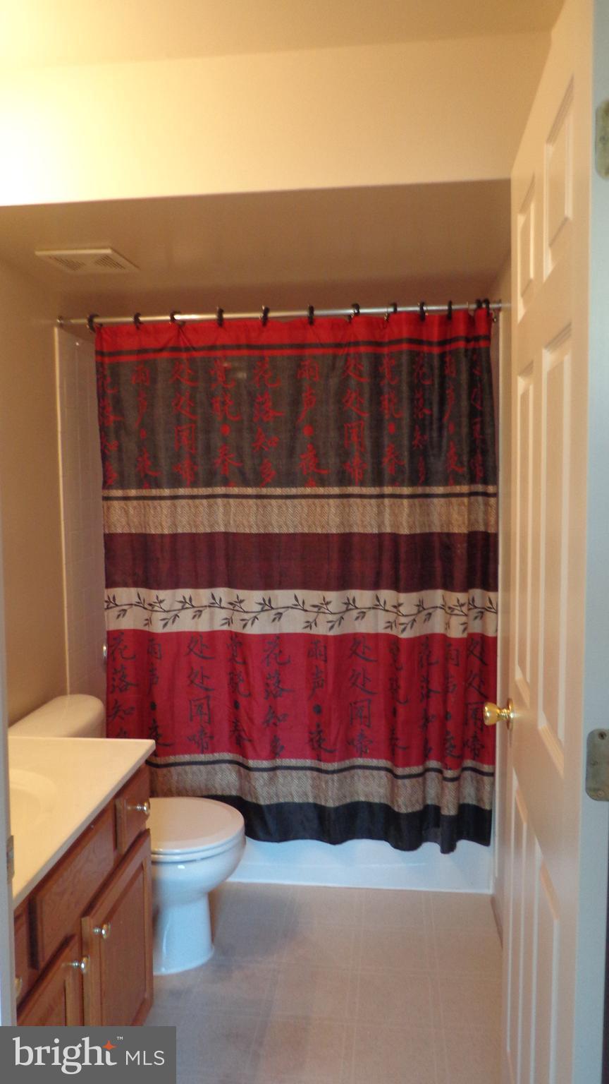 787 Holly Leaf Road Culpeper, VA 22701 - Photo 17 of 19 Basement full bath