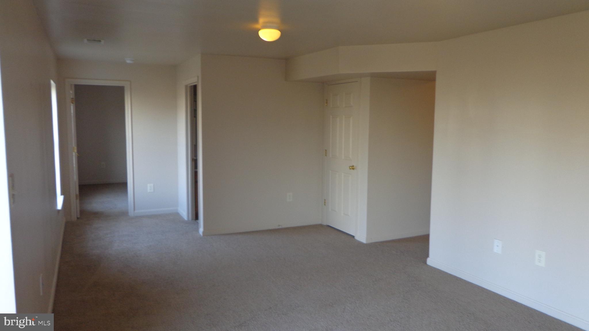 787 Holly Leaf Road Culpeper, VA 22701 - Photo 18 of 19 Basement