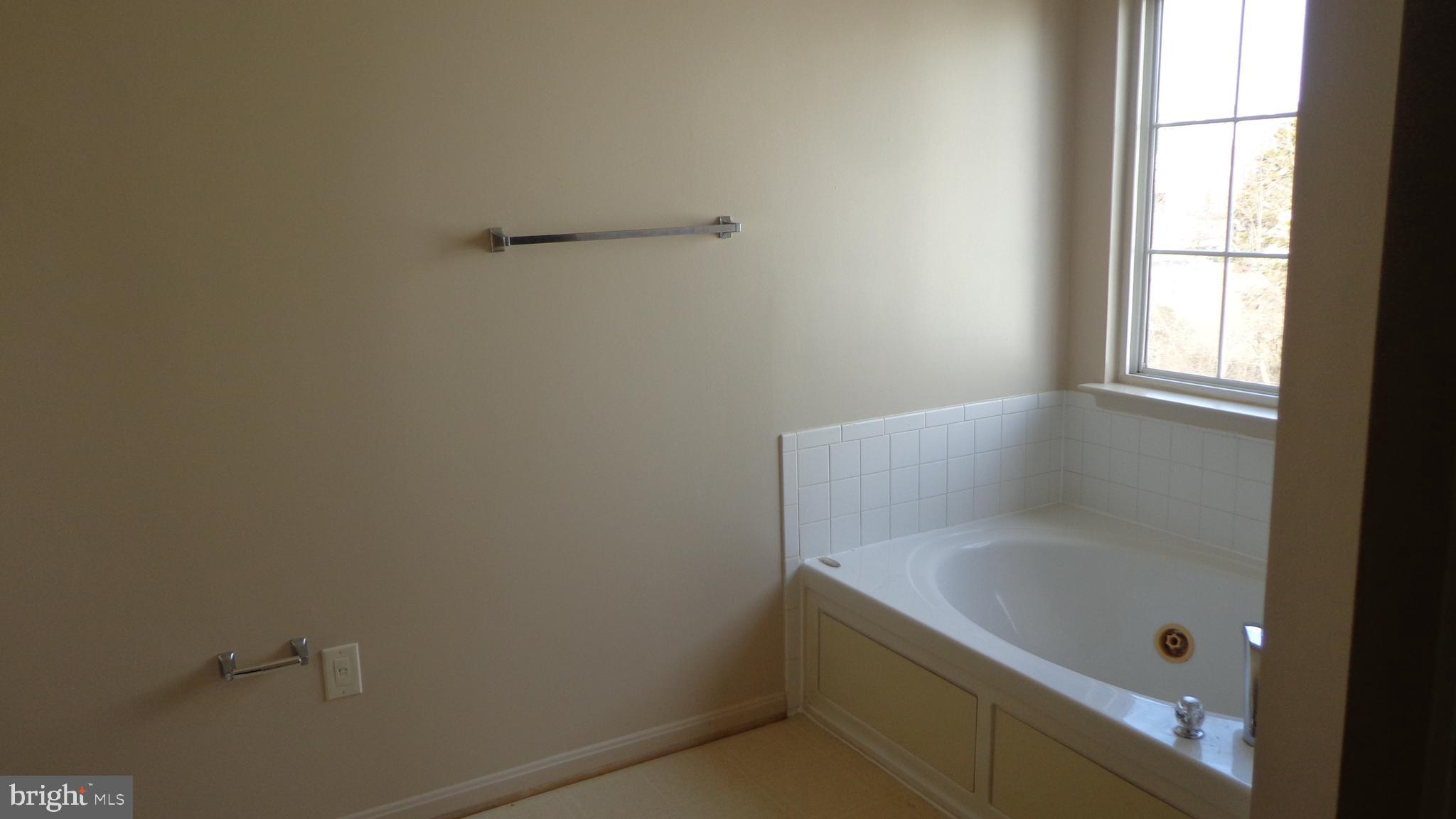 787 Holly Leaf Road Culpeper, VA 22701 - Photo 10 of 19 Primary bath