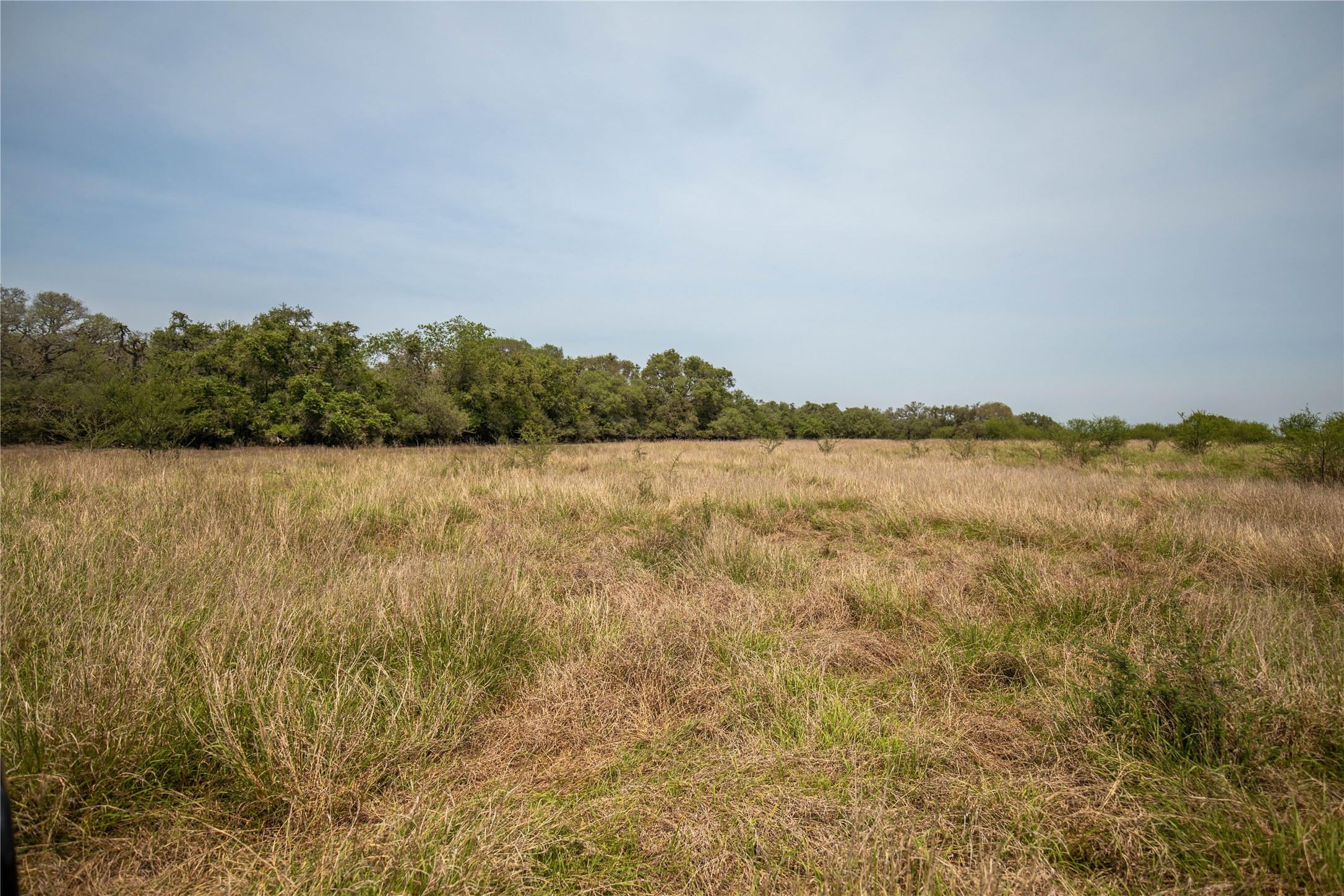 0 Green Dewitt Road Cuero, TX 77954 - Photo 18 of 40