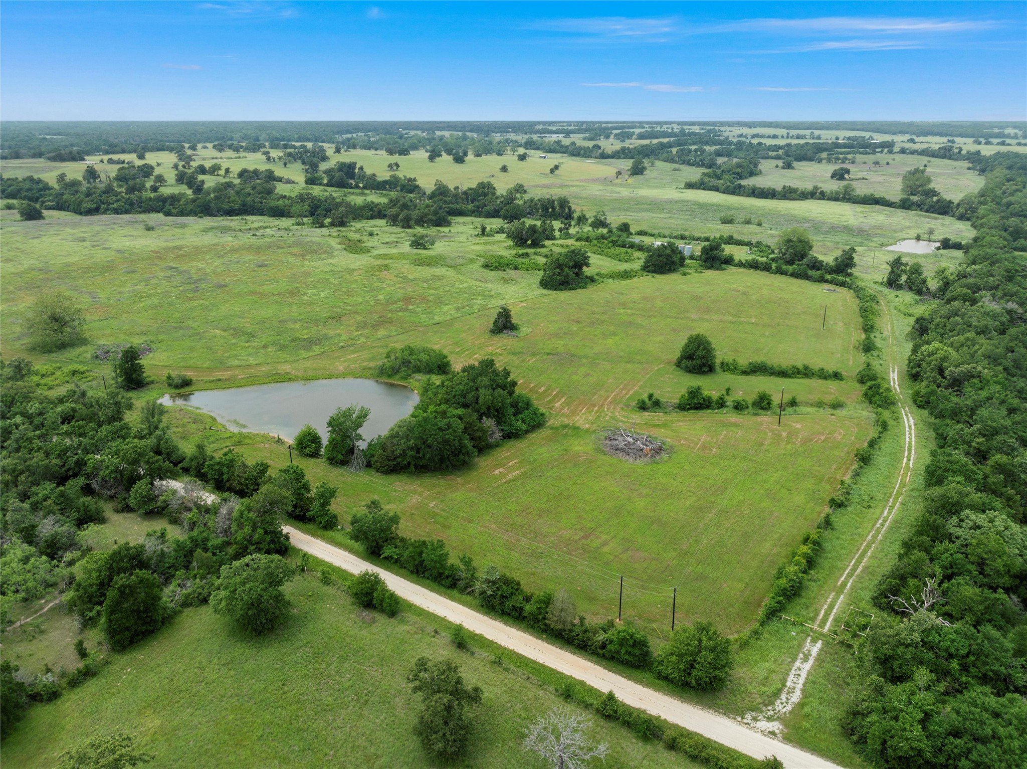 707 Lcr 707 Kosse, TX 76653 - Photo 12 of 15 a view of a lush green forest with a lake