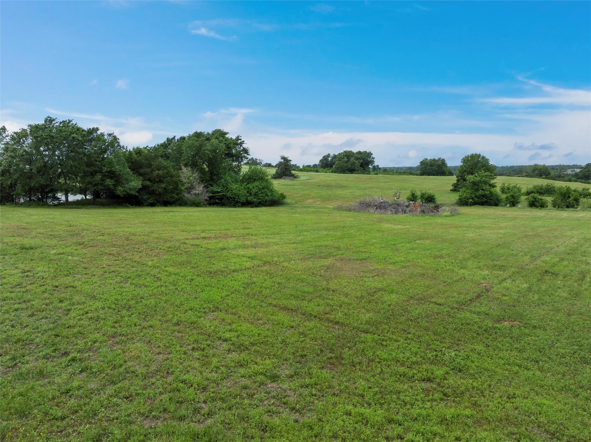 707 Lcr 707 Kosse, TX 76653 - Photo 7 of 15 a view of a field with an trees