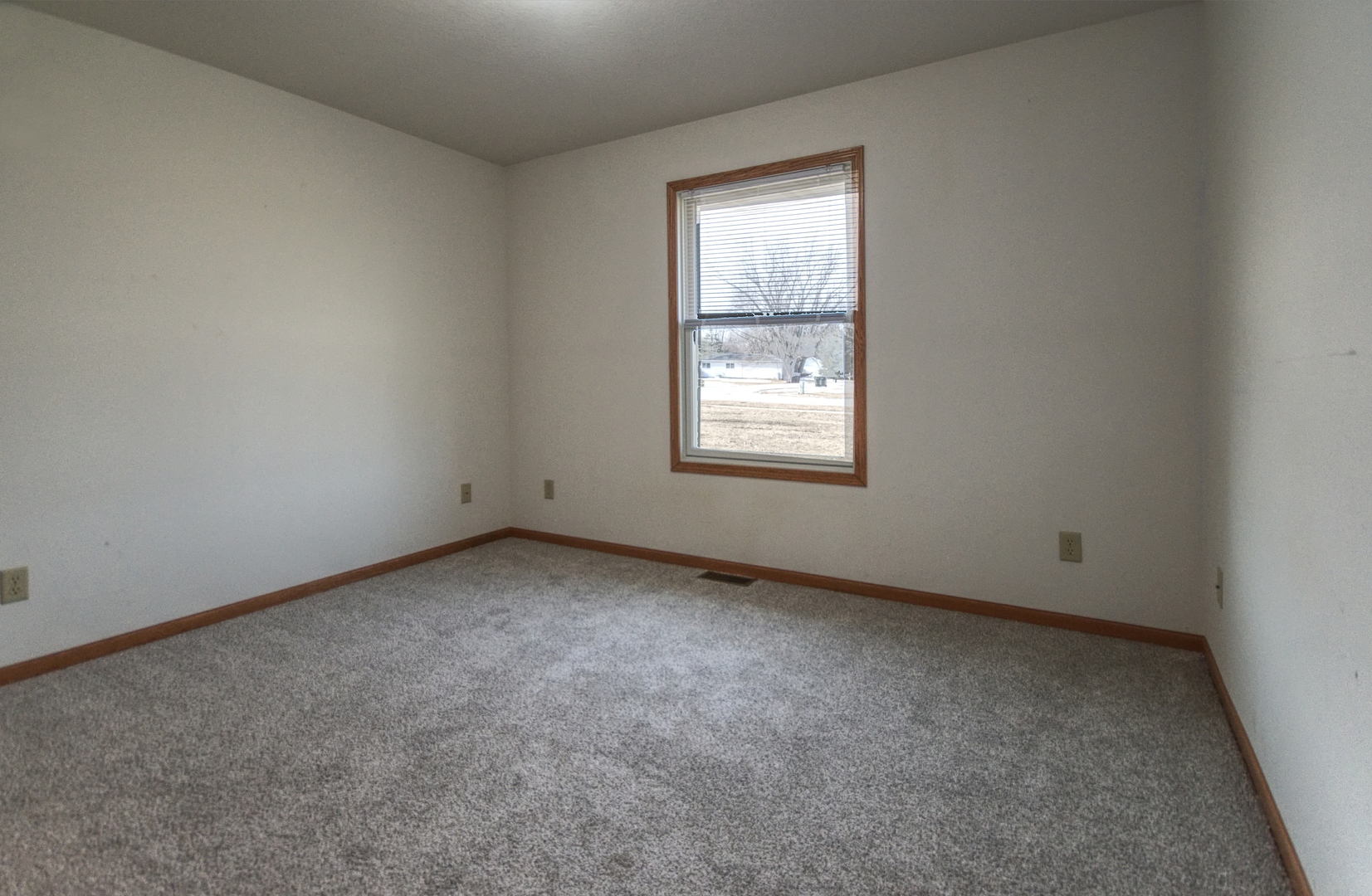 484 West 3rd Street Braidwood, IL 60408 - Photo 13 of 17