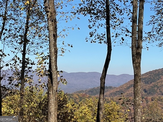 1189 Walnut Ridge, Unit 4044 Ellijay, GA 30536 - Photo 2 of 52 a view of a backyard of a house