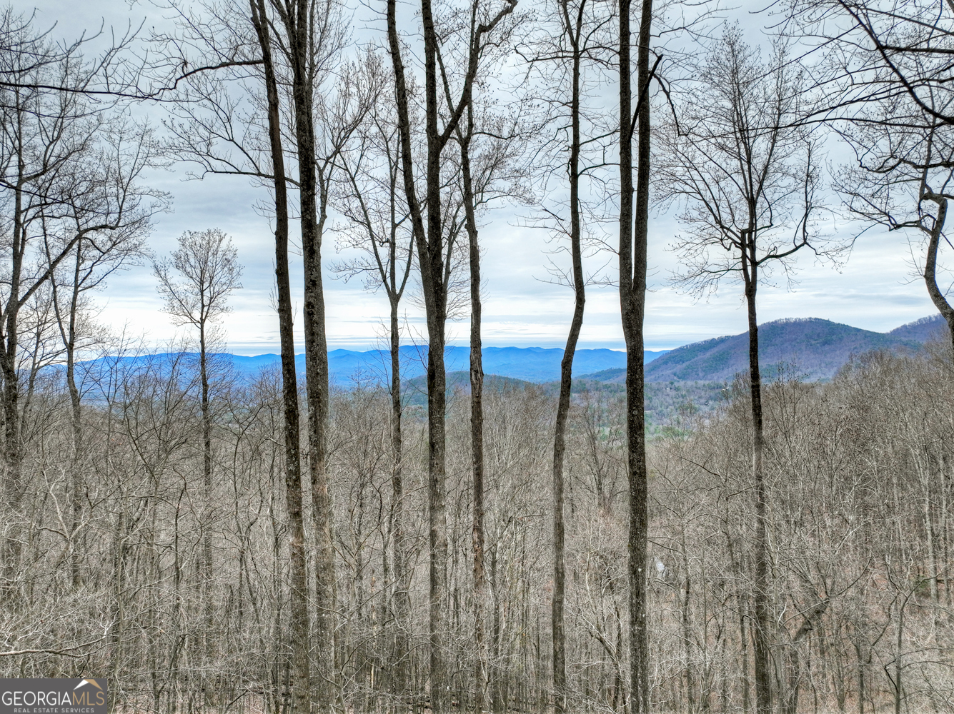 1189 Walnut Ridge, Unit 4044 Ellijay, GA 30536 - Photo 30 of 52 a view of an outdoor space with swimming pool