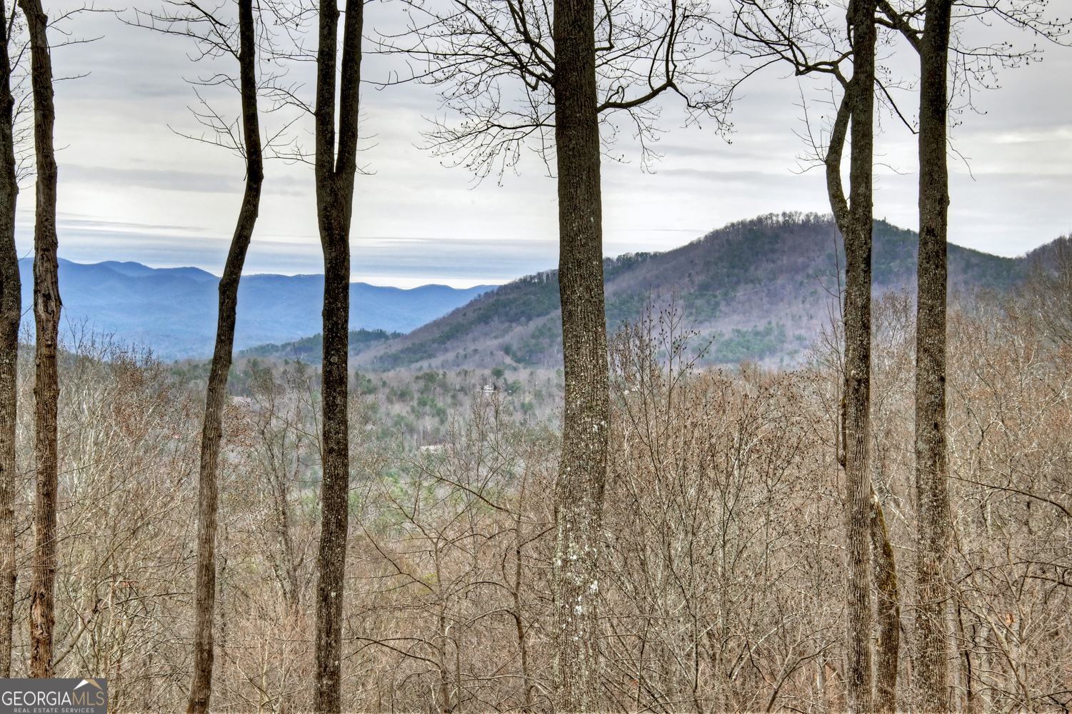 1189 Walnut Ridge, Unit 4044 Ellijay, GA 30536 - Photo 35 of 52 a view of mountain view with lake view