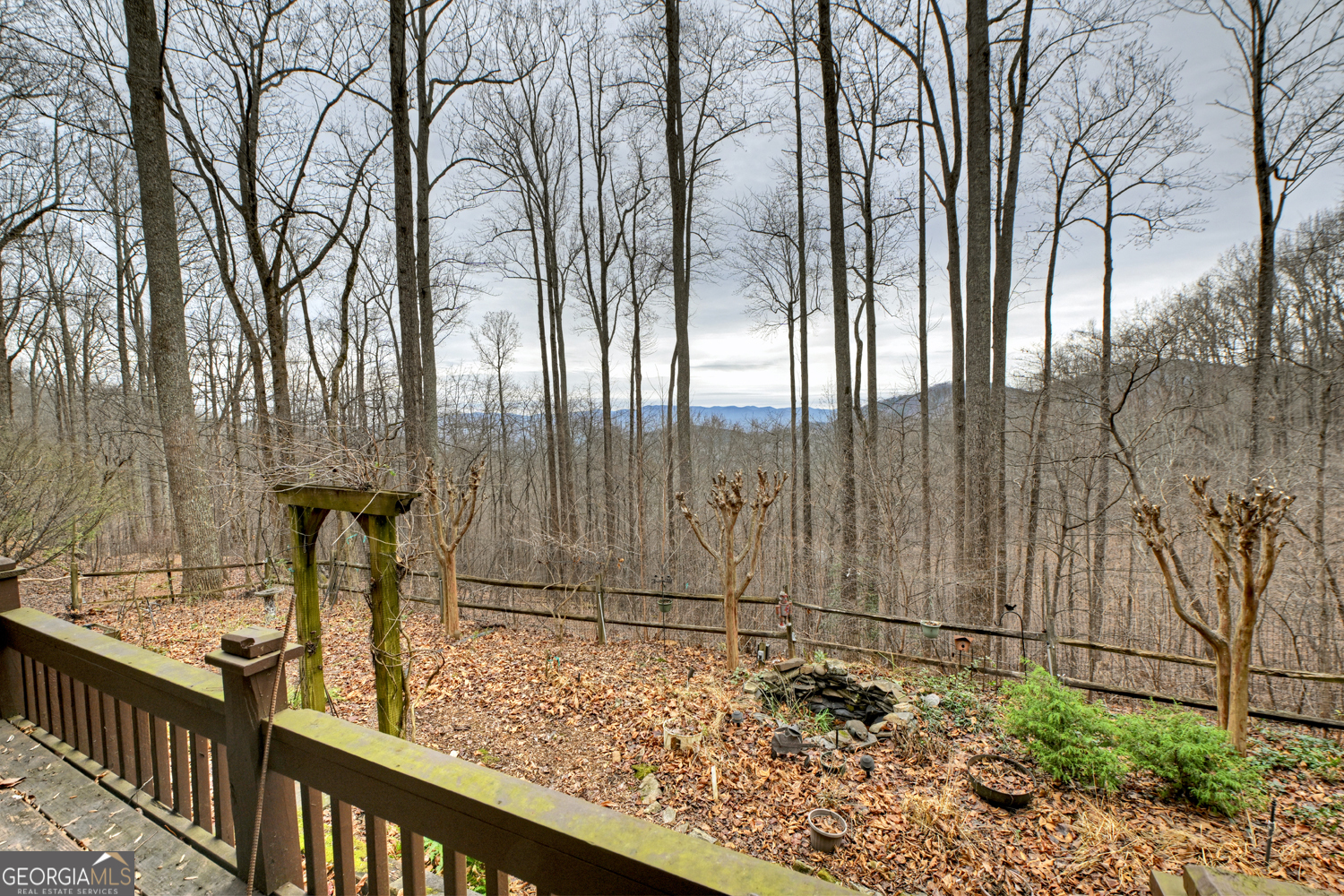 1189 Walnut Ridge, Unit 4044 Ellijay, GA 30536 - Photo 48 of 52 a view of a pathway of a park with large trees