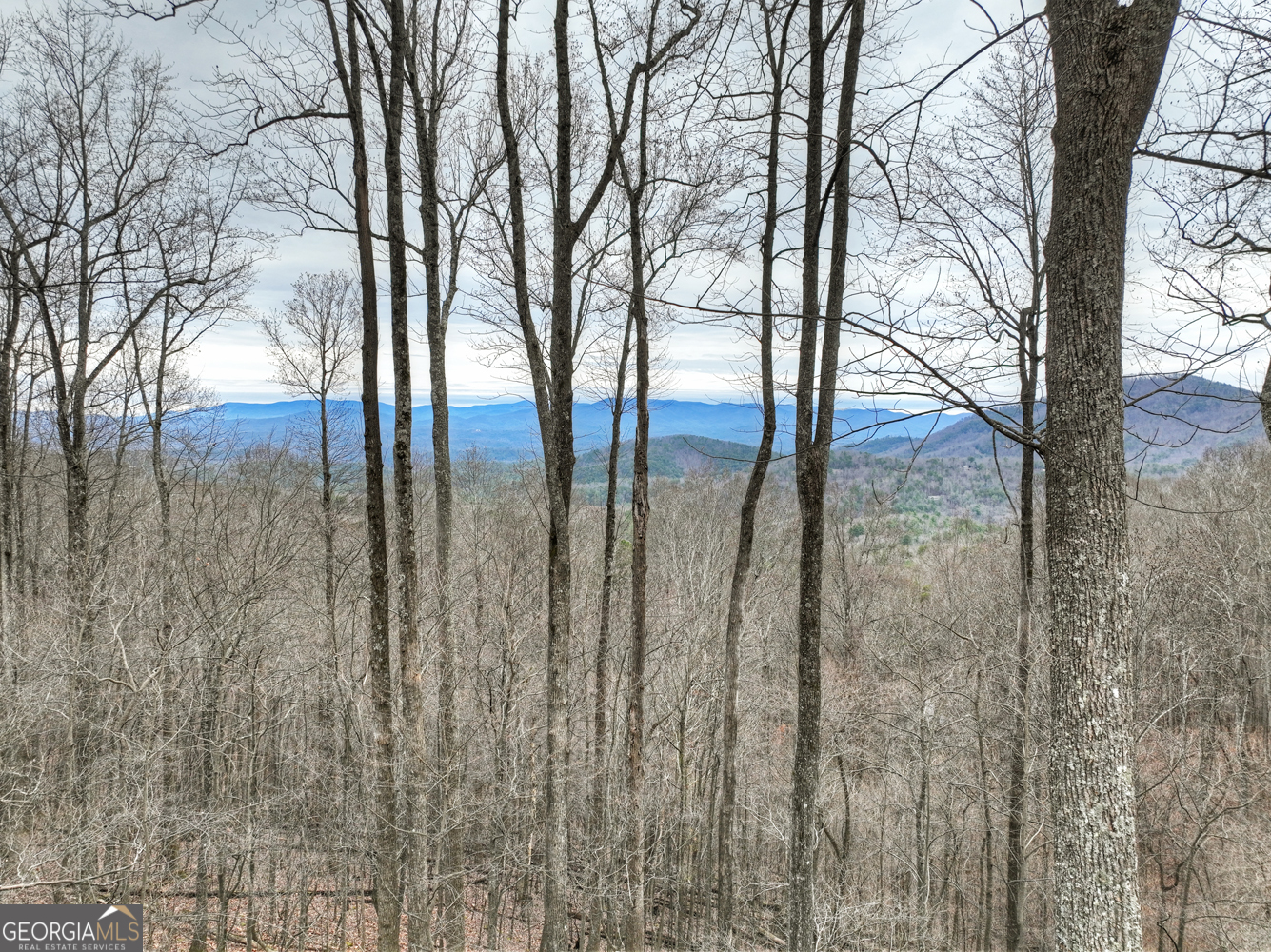 1189 Walnut Ridge, Unit 4044 Ellijay, GA 30536 - Photo 50 of 52 a view of outdoor space with green space