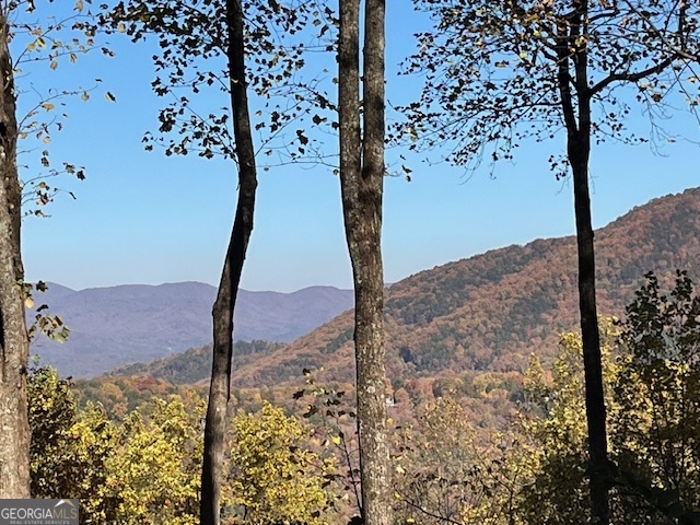 1189 Walnut Ridge, Unit 4044 Ellijay, GA 30536 - Photo 51 of 52 a view of a backyard of the house