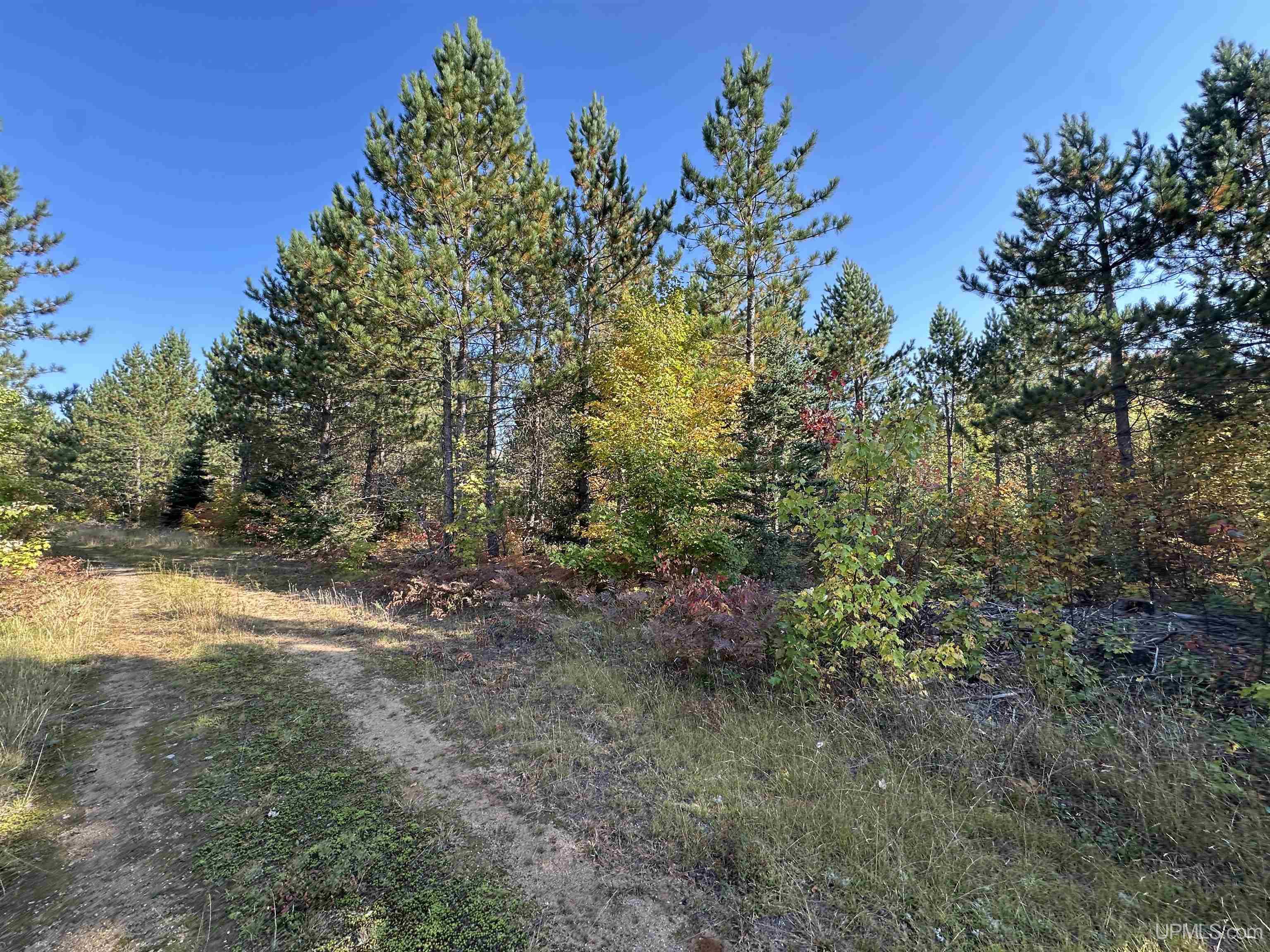 510 Rd Ishpeming Mi 49849 Road Negaunee, MI 49866 - Photo 51 of 54