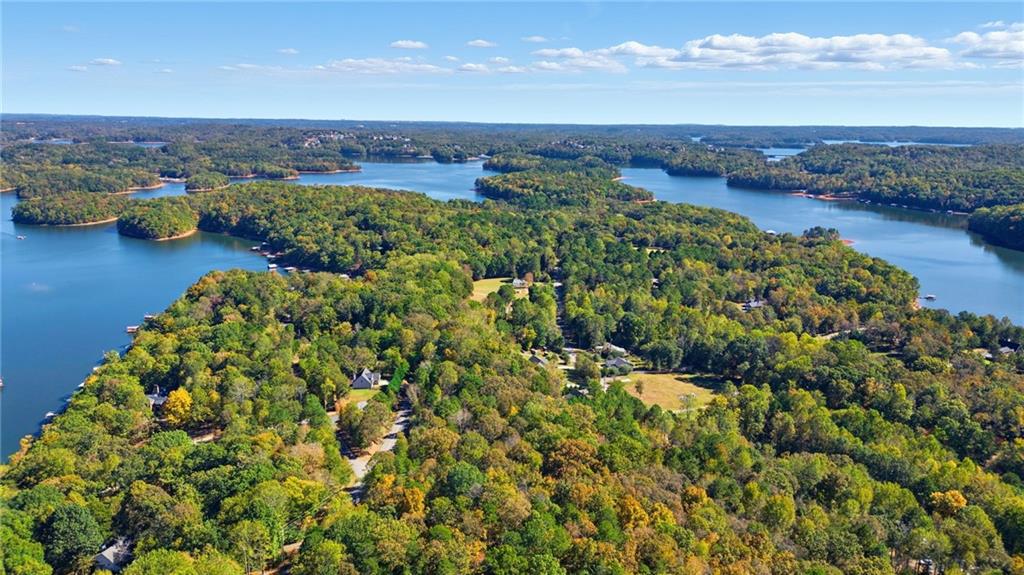 0 Mary Saphire Road Dawsonville, GA 30534 - Photo 13 of 14 an aerial view of a houses with a lake view