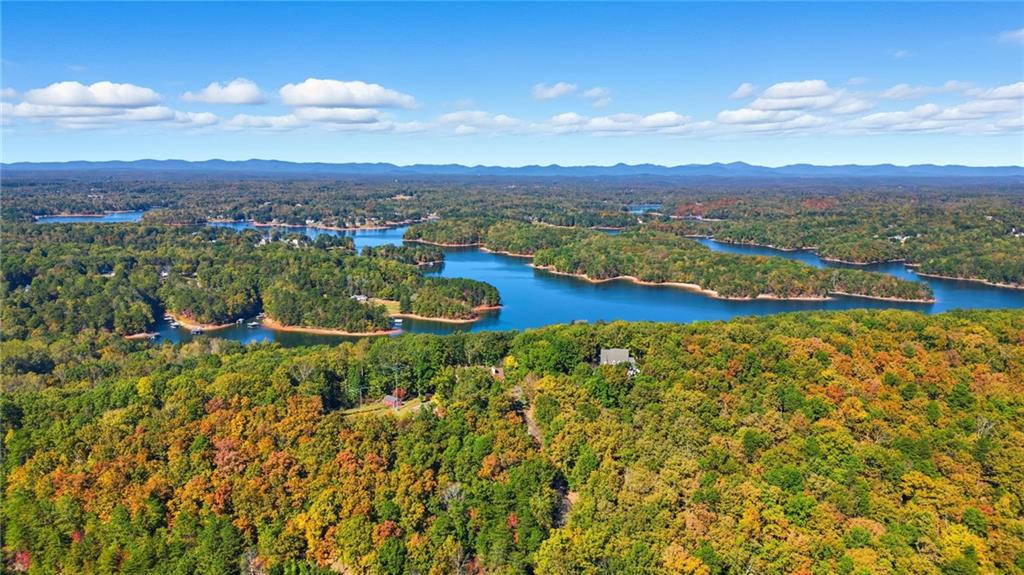 0 Mary Saphire Road Dawsonville, GA 30534 - Photo 14 of 14 a view of a city with lush green forest