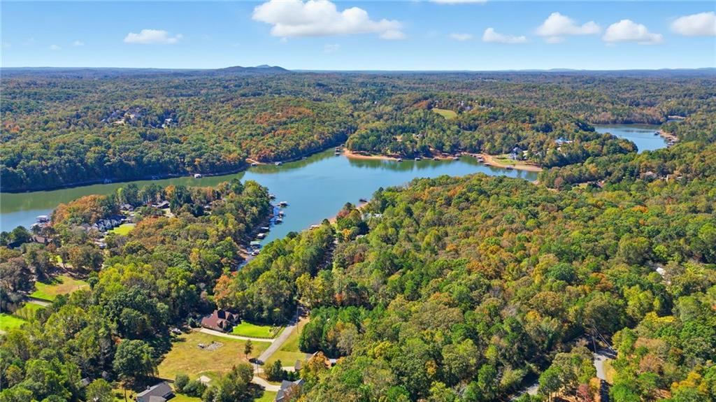 0 Mary Saphire Road Dawsonville, GA 30534 - Photo 3 of 14 an aerial view of lake and residential houses with outdoor space