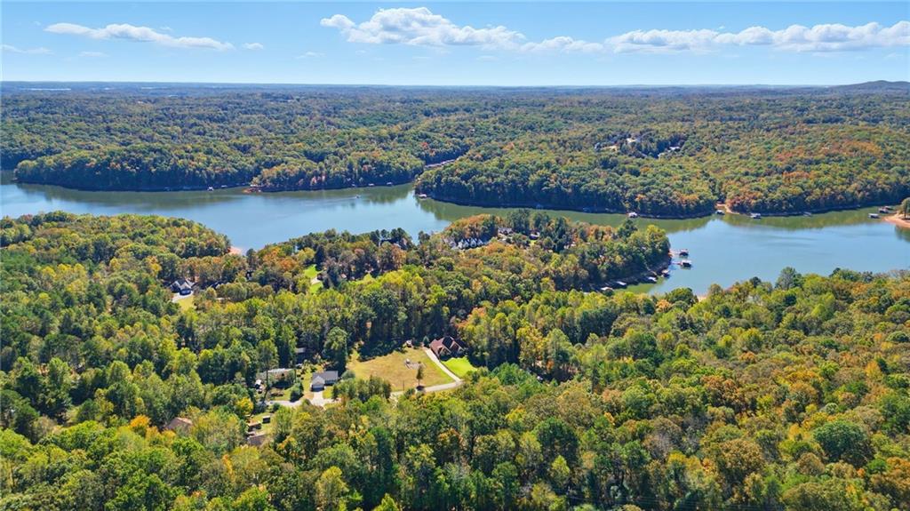 0 Mary Saphire Road Dawsonville, GA 30534 - Photo 4 of 14 an aerial view of a houses with a lake view