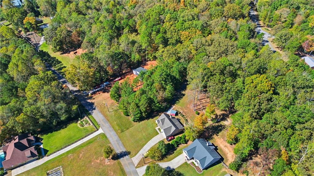 0 Mary Saphire Road Dawsonville, GA 30534 - Photo 9 of 14 a view of a yard with plants