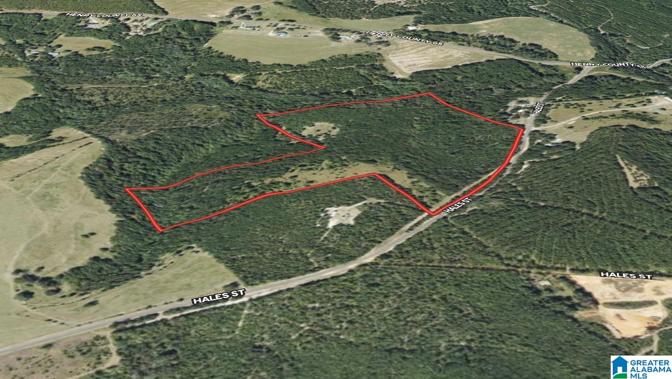 0 County Road 65 Abbeville, AL 36310 - Photo 24 of 24