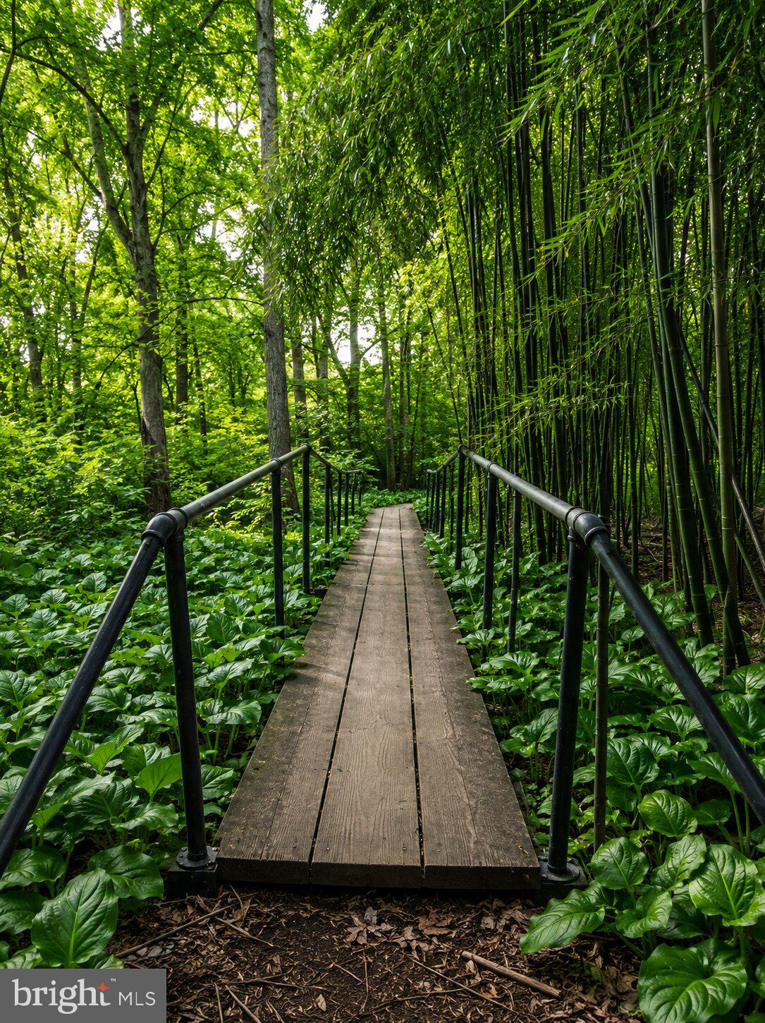 1475 Langhorne Yardley Road Langhorne, PA 19047 - Photo 27 of 28 Serene path through lush greenery.
