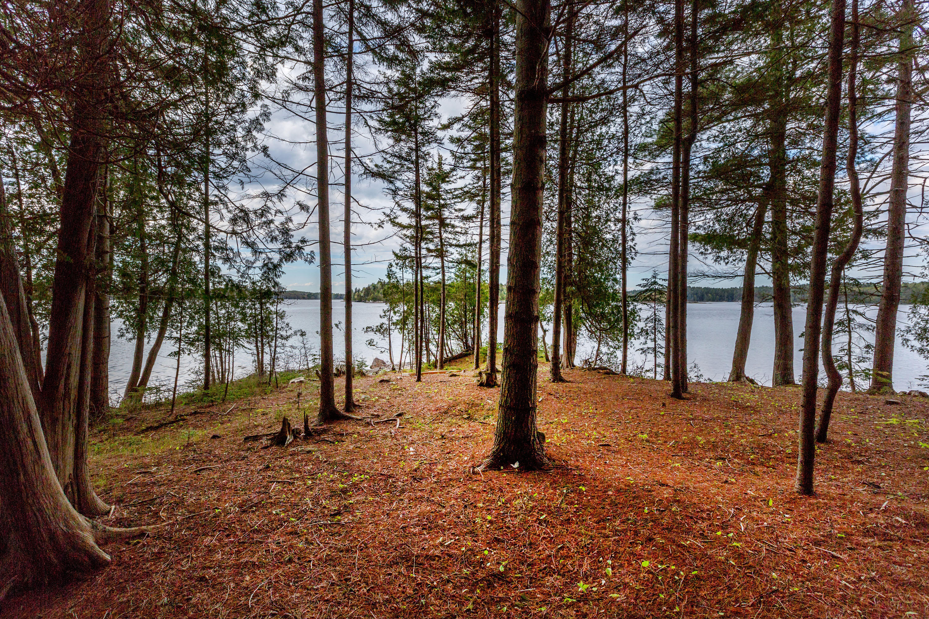 151 Sage Road Harpswell, ME 04079 - Photo 8 of 47 Sage_Clark_58