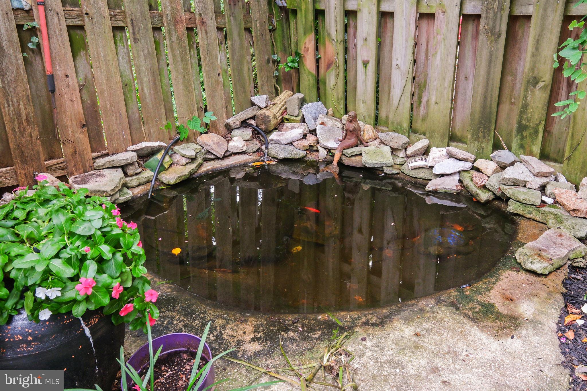 9528 Starmont Road Bethesda, MD 20817 - Photo 30 of 38 Pond with fish in Backyard Garden