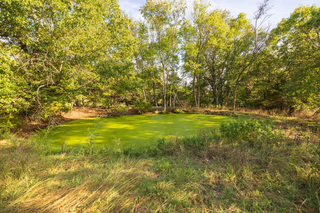 0 Atkins Road Stella, MO 64867 - Photo 32 of 51 McDonald 296 (MLS)-5629