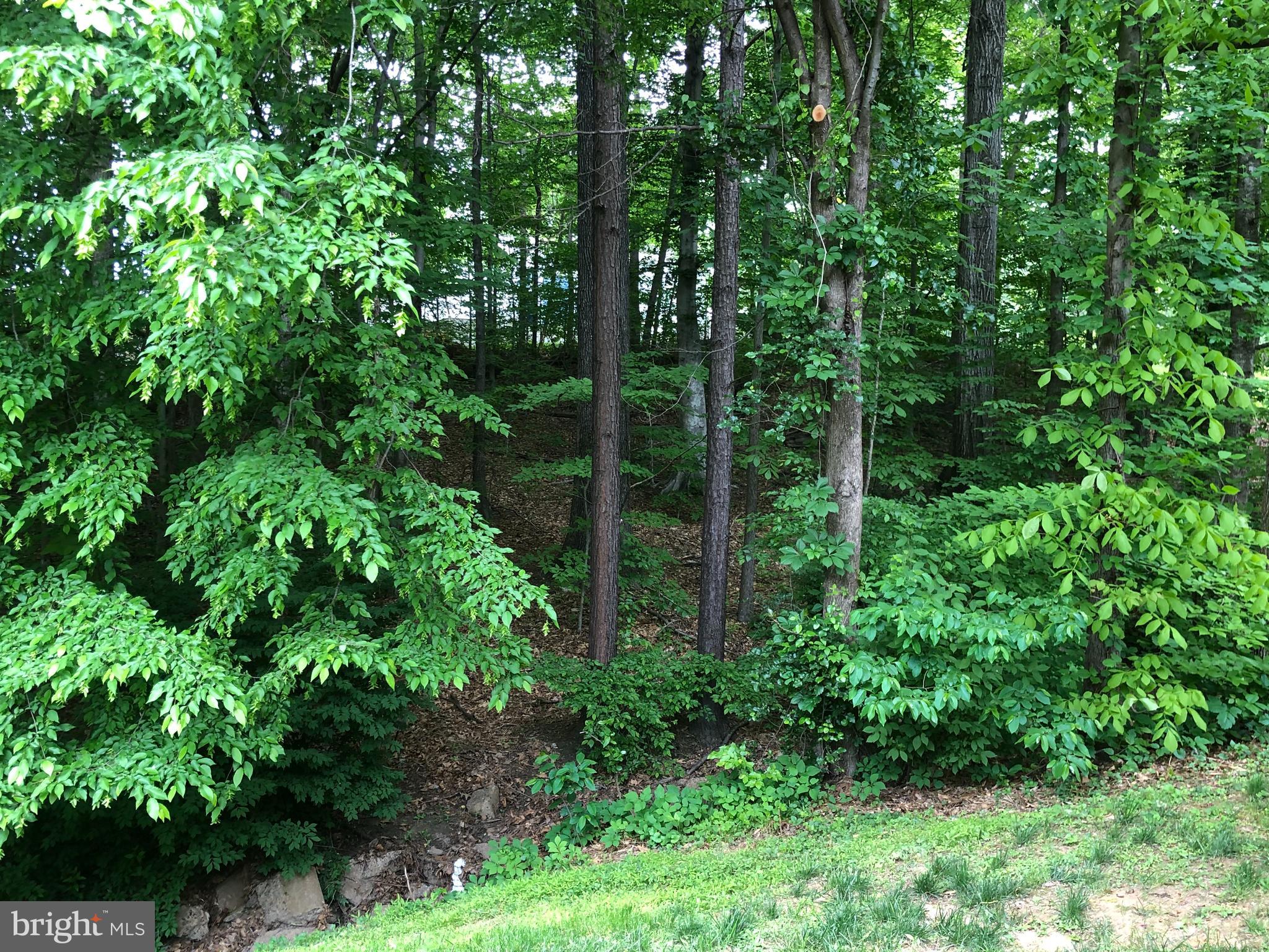 6105 Sweet Maple Court Springfield, VA 22152 - Photo 4 of 6 Gallery Image 4