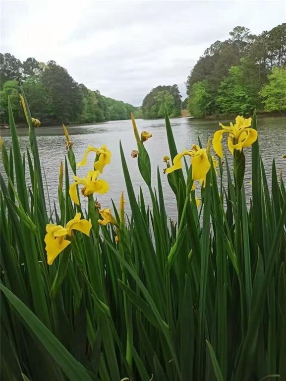 2382 Merrymount Drive Suwanee, GA 30024 - Photo 67 of 93