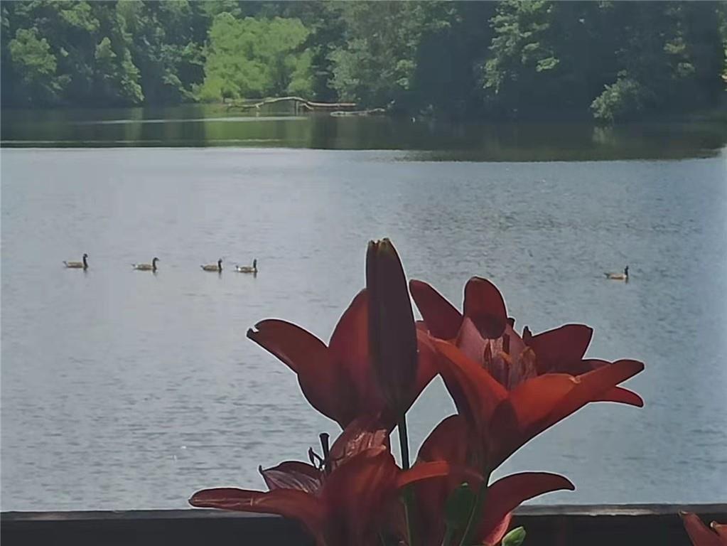 2382 Merrymount Drive Suwanee, GA 30024 - Photo 68 of 93