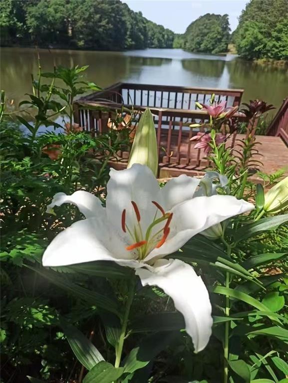 2382 Merrymount Drive Suwanee, GA 30024 - Photo 69 of 93