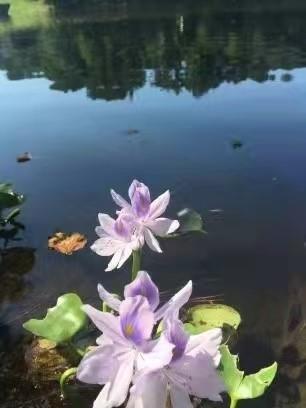 2382 Merrymount Drive Suwanee, GA 30024 - Photo 70 of 93