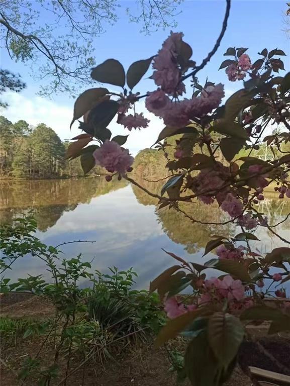 2382 Merrymount Drive Suwanee, GA 30024 - Photo 72 of 93 a view of a lake in middle of the forest